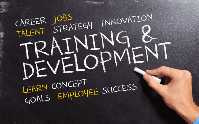 HR Strategy and Training